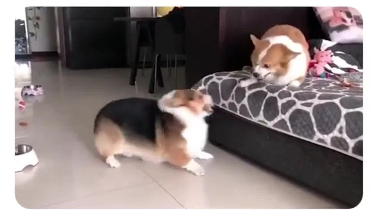 YOU KNOW A LOT LESS THAN YOU THINK YOU DO